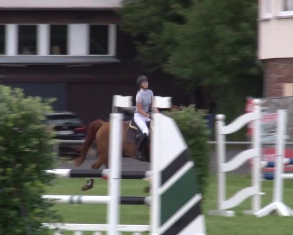 Reitturnier Bad Kissingen/Ufr. 2024