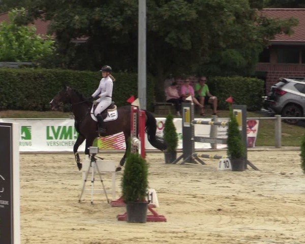 Reitturnier Ennigerloh-Neubeckum 2024