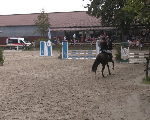 Reitturnier Marienheide-Kempershöhe 2024
