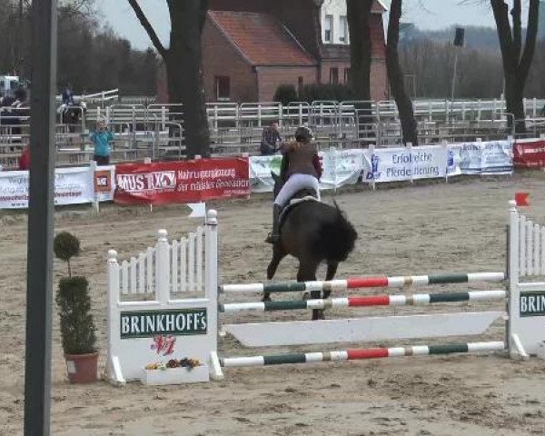 Reitturnier Werne-Lenklar 2013