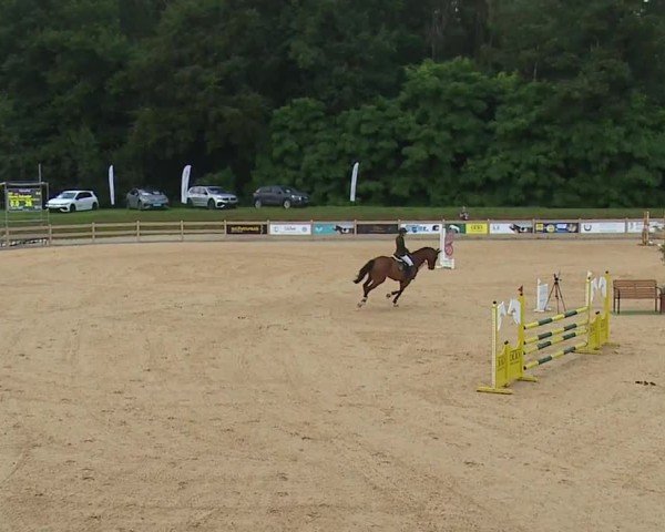 Reitturnier Tiefenhof/Opf. 2024