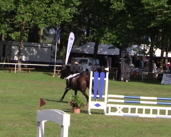 Reitturnier Zobbenitz 2024