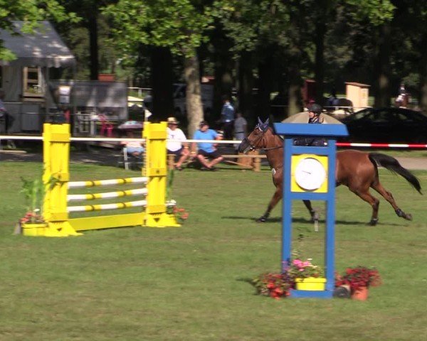 Reitturnier Zobbenitz 2024