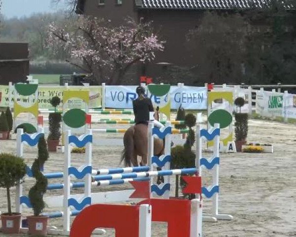 Reitturnier Werne-Lenklar 2013