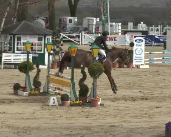 Lenklarer Reitertage auf der Reitsportanlage Gripshöver 2013