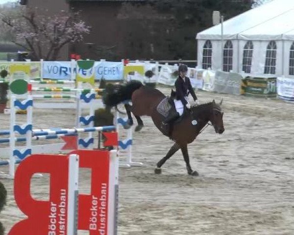 Lenklarer Reitertage auf der Reitsportanlage Gripshöver 2013