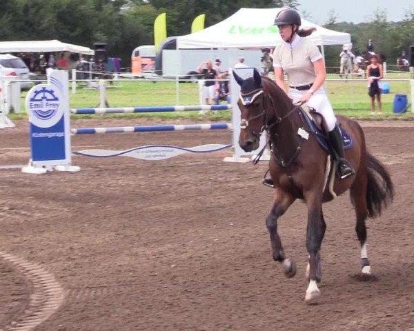 Reitturnier Sollerup 2024