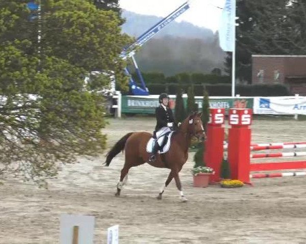 Lenklarer Reitertage auf der Reitsportanlage Gripshöver 2013