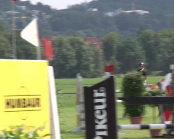 Reitturnier Bad Kissingen/Ufr. 2024