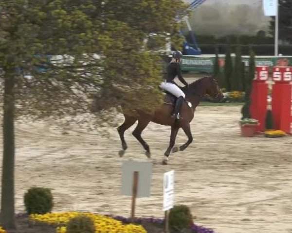 Lenklarer Reitertage auf der Reitsportanlage Gripshöver 2013