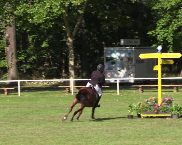 Reitturnier Zobbenitz 2024