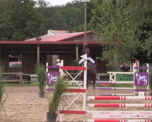 Reitturnier Altlandsberg 2024