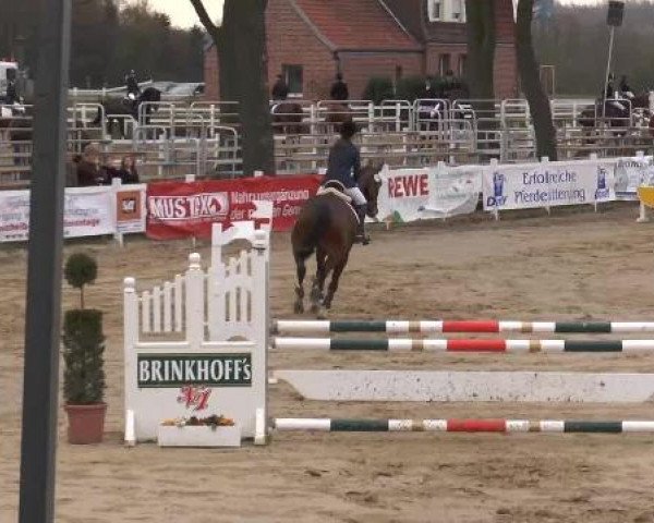 Lenklarer Reitertage auf der Reitsportanlage Gripshöver 2013