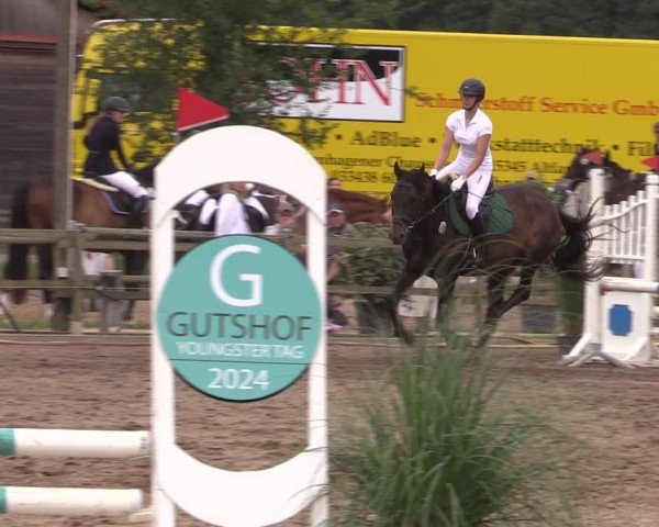 Reitturnier Altlandsberg 2024