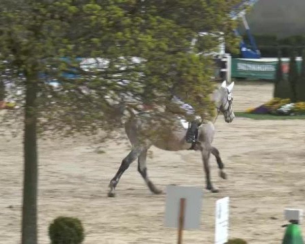 Lenklarer Reitertage auf der Reitsportanlage Gripshöver 2013
