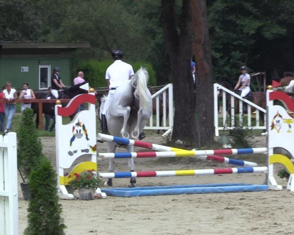 Reitturnier Arnsberg-Holzen 2024