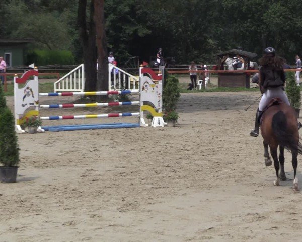 Reitturnier Arnsberg-Holzen 2024