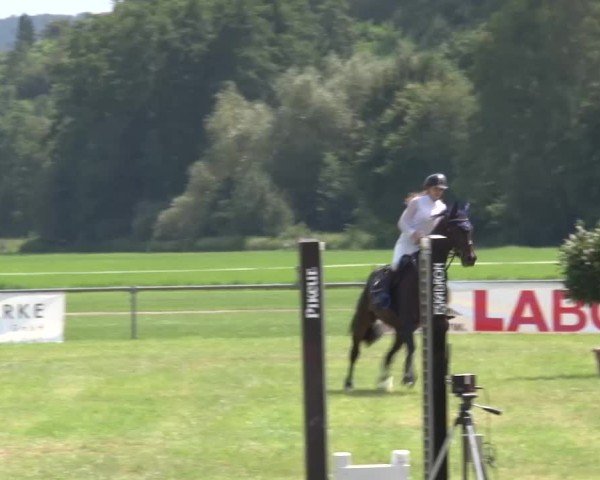 Reitturnier Bad Kissingen/Ufr. 2024
