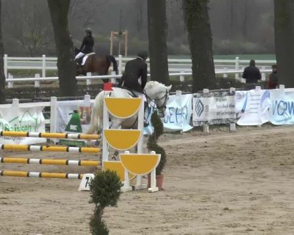 Reitturnier Werne-Lenklar 2013