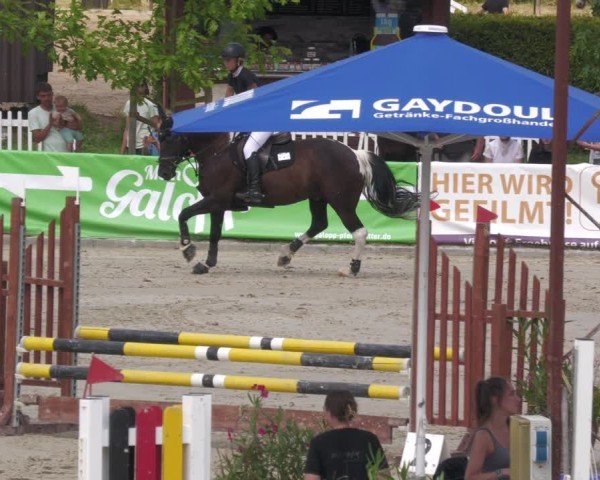 Reitturnier Groß-Zimmern 2024