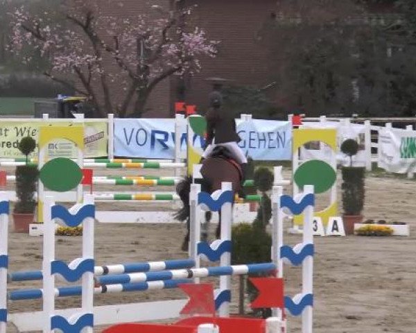 Lenklarer Reitertage auf der Reitsportanlage Gripshöver 2013