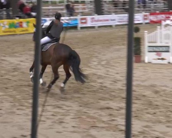 Lenklarer Reitertage auf der Reitsportanlage Gripshöver 2013
