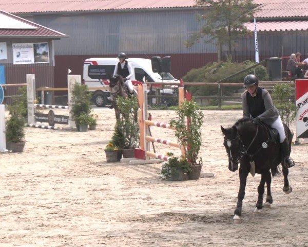 Reitturnier Marienheide-Kempershöhe 2024