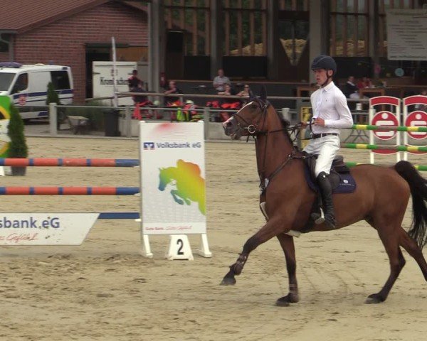 Reitturnier Ennigerloh-Neubeckum 2024