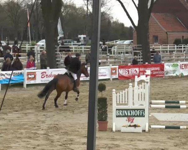 Lenklarer Reitertage auf der Reitsportanlage Gripshöver 2013