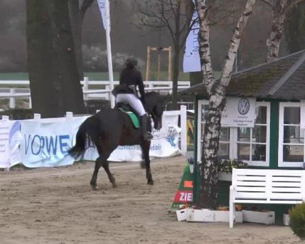 Lenklarer Reitertage auf der Reitsportanlage Gripshöver 2013