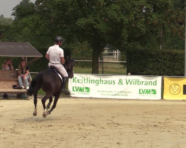 Reitturnier Ennigerloh-Neubeckum 2024