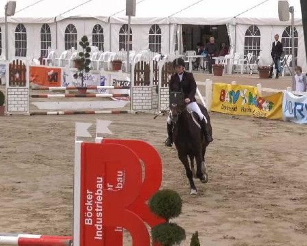 Lenklarer Reitertage auf der Reitsportanlage Gripshöver 2013