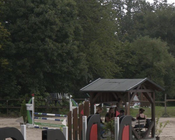Reitturnier Marienheide-Kempershöhe 2024