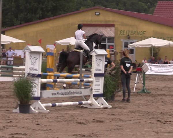 Reitturnier Altlandsberg 2024