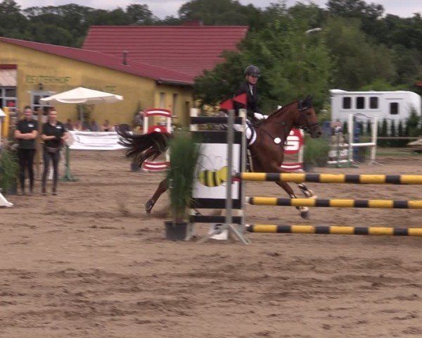 Reitturnier Altlandsberg 2024