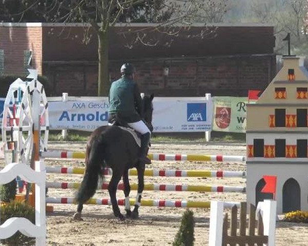Reitturnier Werne-Lenklar 2013