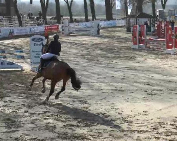 Reitturnier Werne-Lenklar 2013
