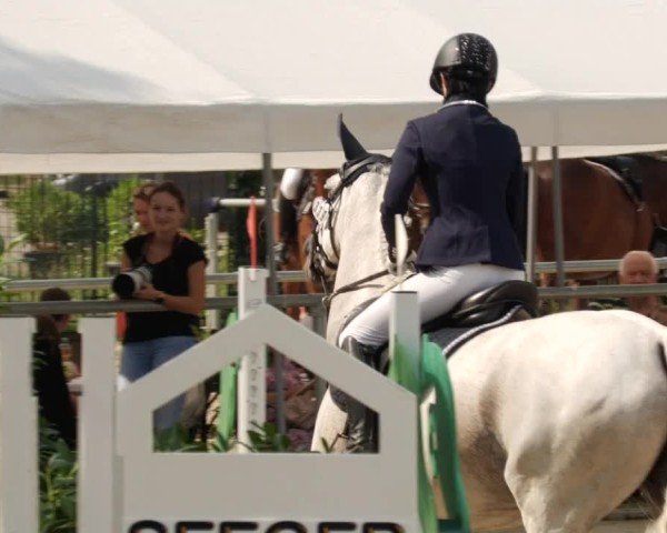Reitturnier Mannheim-Friedrichsfeld 2024
