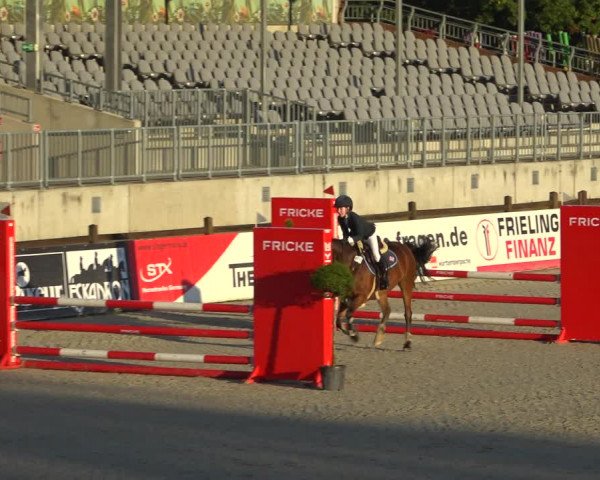 Reitturnier Westergellersen 2021