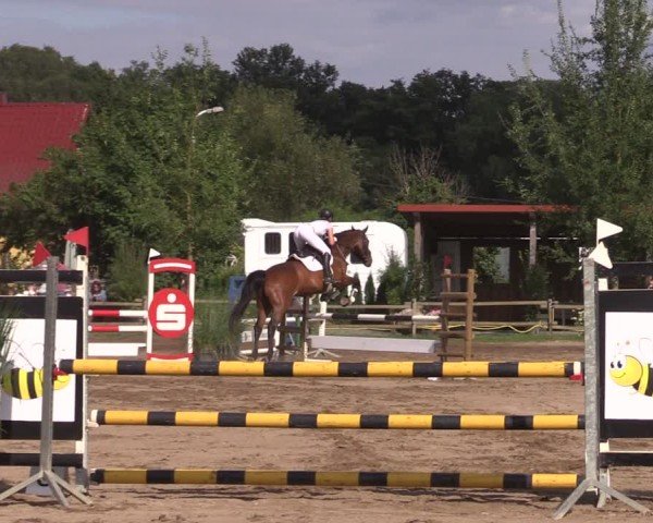 Reitturnier Altlandsberg 2024