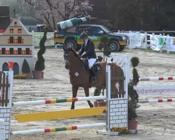 Lenklarer Reitertage auf der Reitsportanlage Gripshöver 2013