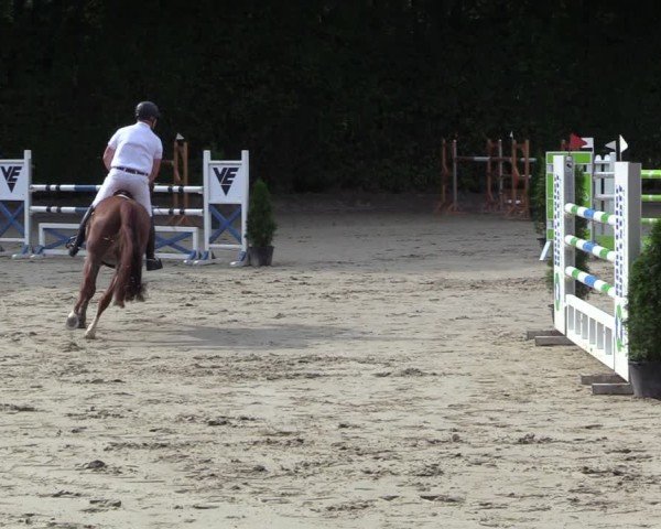 Reitturnier Arnsberg-Holzen 2024