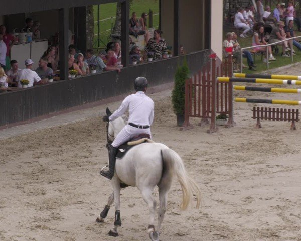 Reitturnier Groß-Zimmern 2024