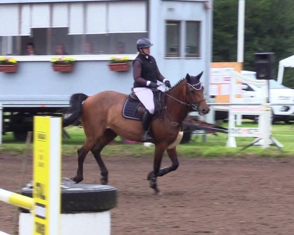 Reitturnier Sollerup 2024
