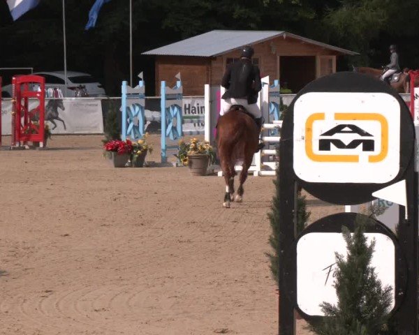 Reitturnier Ranshofen - Braunau am Inn 2024