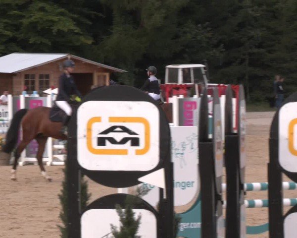 Reitturnier Ranshofen - Braunau am Inn 2024