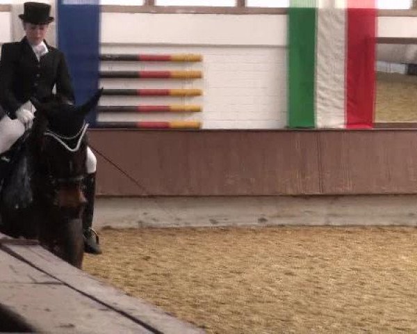 Dressur- und Springturnier Eröffnung der grünen Saison 2013