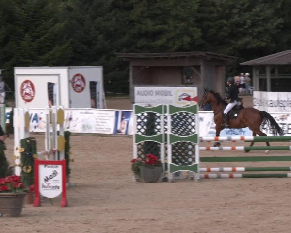 Reitturnier Ranshofen - Braunau am Inn 2024