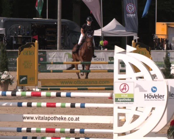Reitturnier Ranshofen - Braunau am Inn 2024