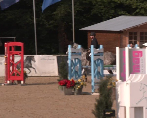 Reitturnier Ranshofen - Braunau am Inn 2024